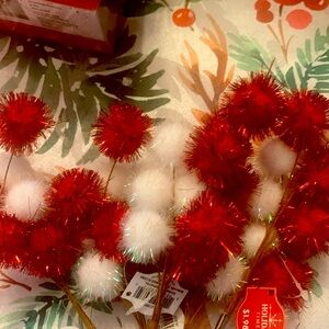 5 Pom Pom Picks